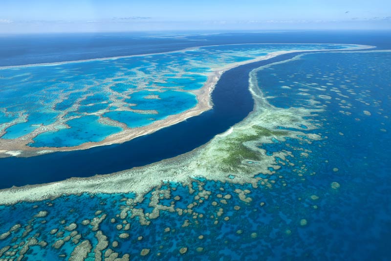 Das Great Barrier Reef 