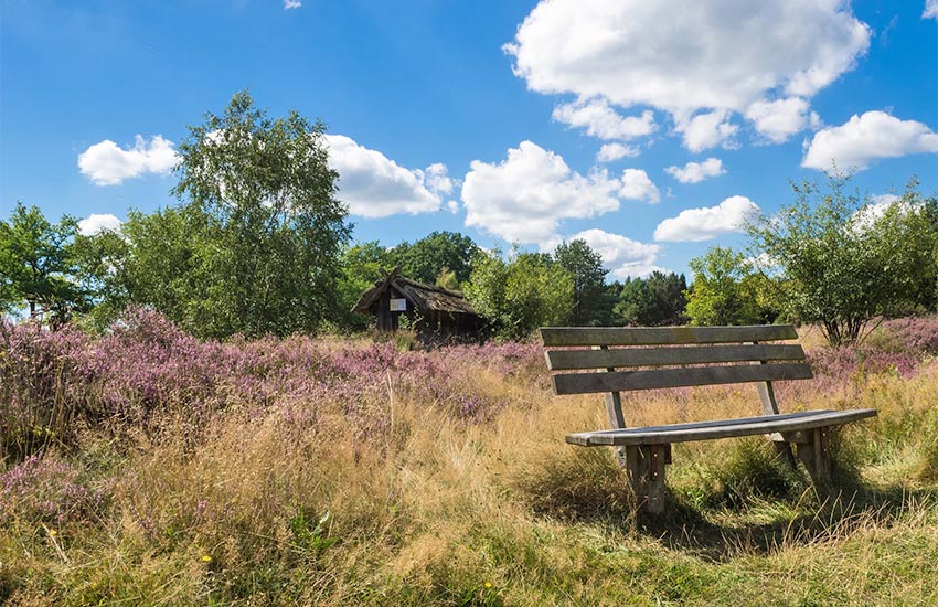 die Lüneburger Heide