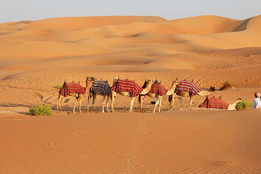 Wüste in Abu Dhabi