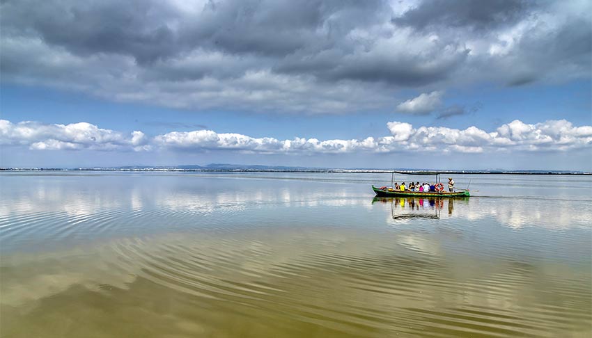 La Albufera