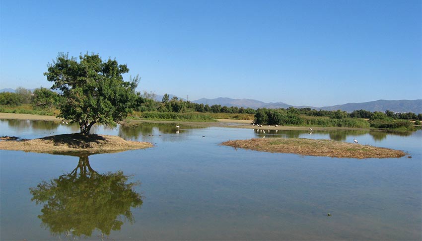 Parc Natural dels Aiguamolls d´Emporá