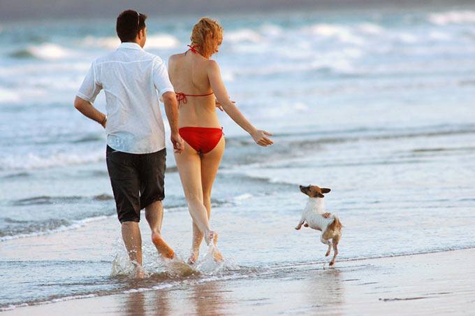 Paar mit Hund am Strand