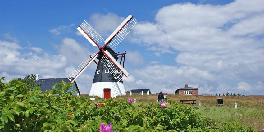 Windmühle auf Römö