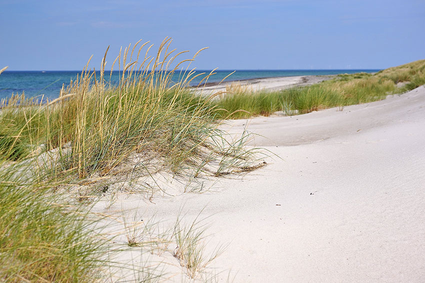 Kur an der Ostsee - Prerow 